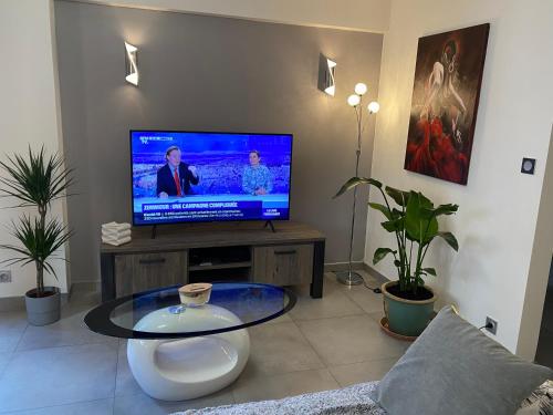 a living room with a tv and a coffee table at Mallo's Lodge avec Parking GRATUIT et 2 balcons in Colmar