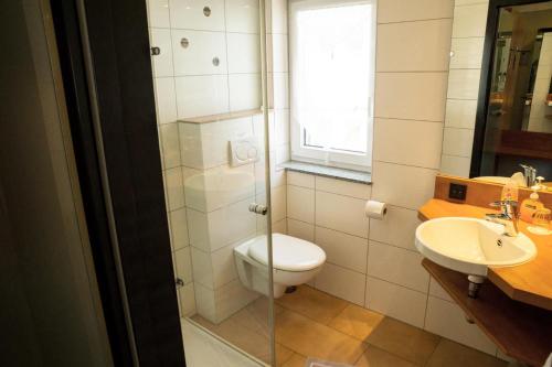 a bathroom with a toilet and a sink at Hotel Cafe Kern in Großostheim