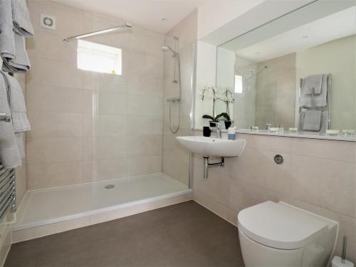 a bathroom with a toilet and a sink and a shower at Oak Cottage at Gravel Farm in Stretham