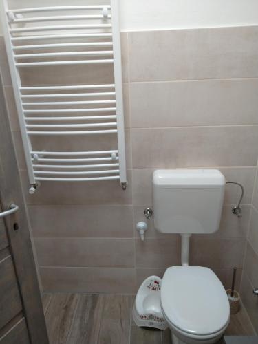 a bathroom with a white toilet in a room at Silver Dream Apartmanház in Debrecen