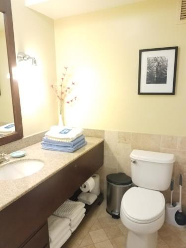 a bathroom with a toilet and a sink at 2417 at Oceanfront Resort Lihue Kauai Beach Drive Private Condo in Lihue