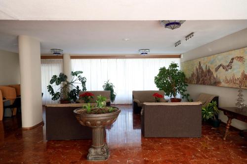 Apartamentos DC
