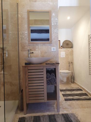 y baño con lavabo y ducha. en La Maison Provençale, en La Roquebrussanne