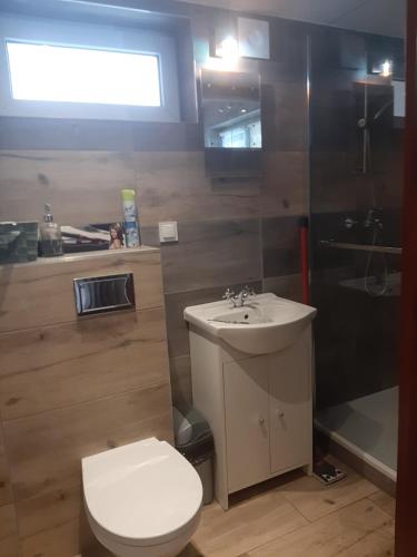 a bathroom with a toilet and a sink and a shower at Garsoniera SOWA in Polanica-Zdrój