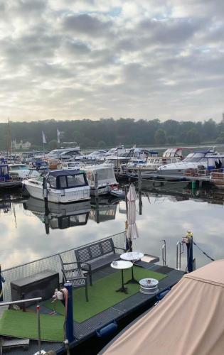 a marina with boats and a table on a dock at Schiffspension Luise in Potsdam
