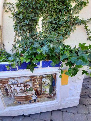 a model of a house with plants growing out of it at Golden Lion in Bouillon