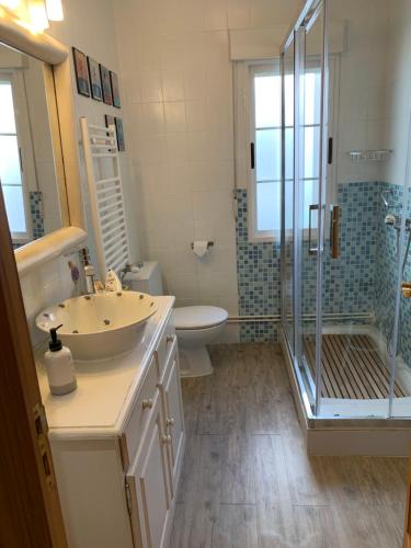 y baño con lavabo, ducha y aseo. en El balcón de Araceli, en Cercedilla