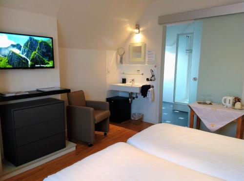 TV a/nebo společenská místnost v ubytování B&B De Passant