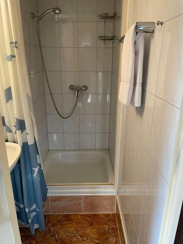 a bathroom with a shower with a tub and a sink at Schiffspension Luise in Potsdam