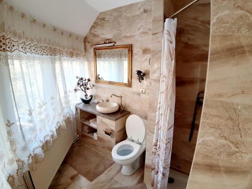 a bathroom with a toilet and a sink and a mirror at Penzion a Restaurace Belveder Romantico, Mini-zoo, Free parking in Jáchymov