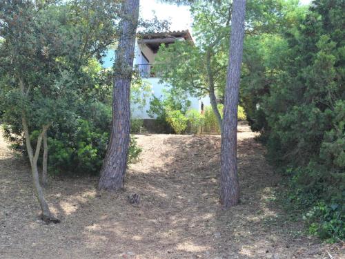 Κήπος έξω από το Casa minipa
