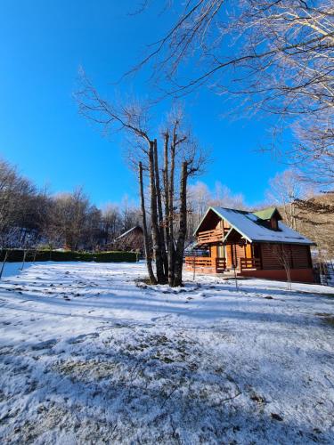 a house with a tree in the snow at Vikendica Crkvina in Kolašin