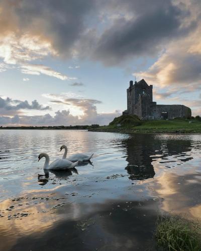 two swans in the water in front of a castle at Tigh Noor - Escape to Kinvara by the sea! in Galway