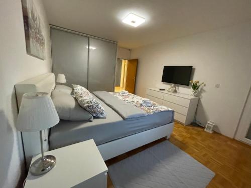 Μια τηλεόραση ή/και κέντρο ψυχαγωγίας στο DIS apartment Varaždin