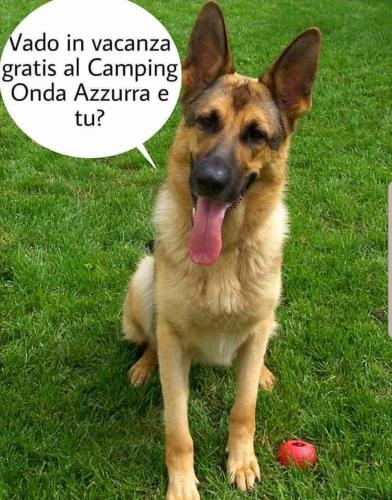 Ospiti di Camping Onda Azzurra con animali domestici