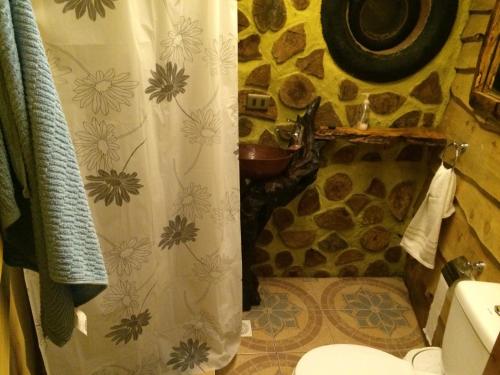 リカンライにあるCabañas Ecologicas Valacircaのバスルーム(シャワー、キリンシャワーカーテン付)
