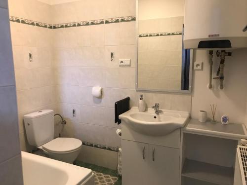 ein weißes Bad mit einem WC und einem Waschbecken in der Unterkunft Cyklo-Moto apartmán in Lomnice nad Lužnicí