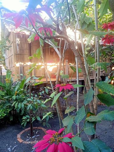 a garden with pink flowers and a tree at Tribal Village Homestay & Trekking in Banlung