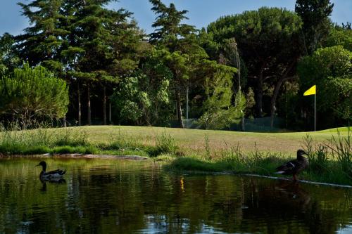 a man swimming in a pond next to a lake at Palácio Estoril Hotel, Golf & Wellness in Estoril