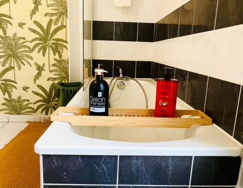 a bathroom with two bottles of soap on a sink at Bel Appartement T3 de 60m2 avec Parking, Terrasse, proche du Métro et du Périph in Toulouse