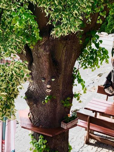a tree with a face carved into the trunk at Hotel Penzion Trámky in Vikýřovice