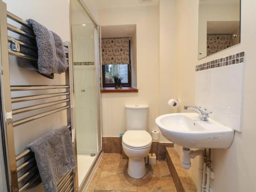a small bathroom with a toilet and a sink at Red Deer Cottage in Minehead