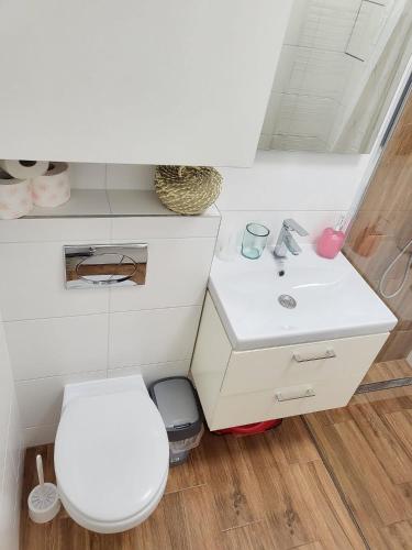 Bilik mandi di Veľký apartmán 3