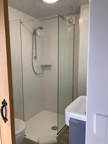 a bathroom with a glass shower with a toilet and sink at Brynteg Glamping in Llanallgo