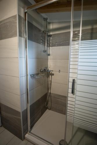 a shower with a glass door in a bathroom at Hotel Pegasos in Nikiana