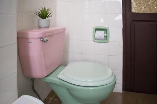 a pink toilet with a plant on top of it at Skyline in La Paz
