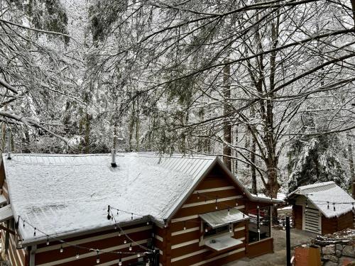 uma cabana com neve no telhado em Beary Relaxing Cabin - Rustic with Outdoor Patio em Townsend