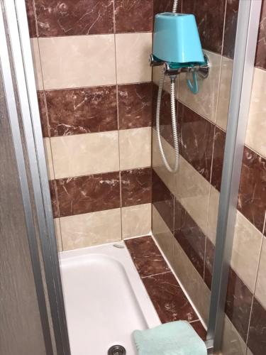 a bathroom with a shower with a toilet and a sink at Ludwighaus in Neukirchen am Großvenediger