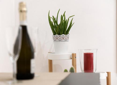 a plant in a pot on a table next to a glass at La Casa degli Osti 2 - Piazza Navona in Rome