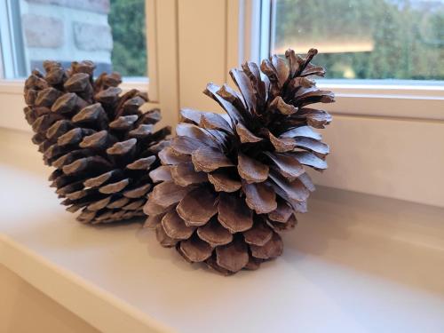 two pineapples sitting on a table next to a window at Les Chanterolles in Chaumont-Gistoux