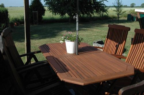 una mesa de madera con una maceta en el patio en Ruegen_Fewo 69, en Ummanz