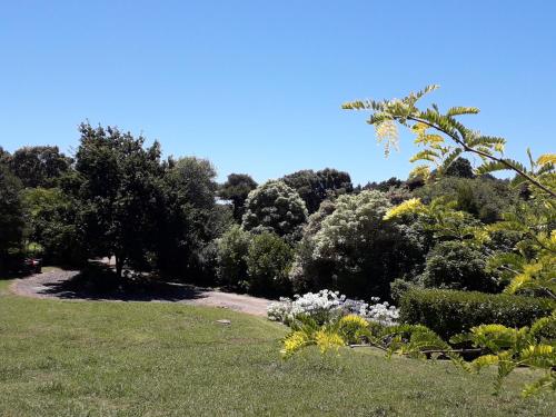 a garden with trees and flowers in a field at Kuaotunu's Peebles Cottage in Kuaotunu