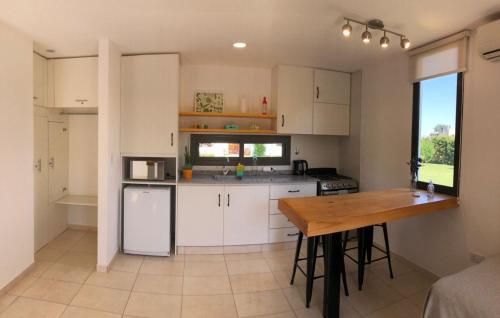 Köök või kööginurk majutusasutuses Loft Los Cerezos en VISTALBA, zona de viñedos y bodegas