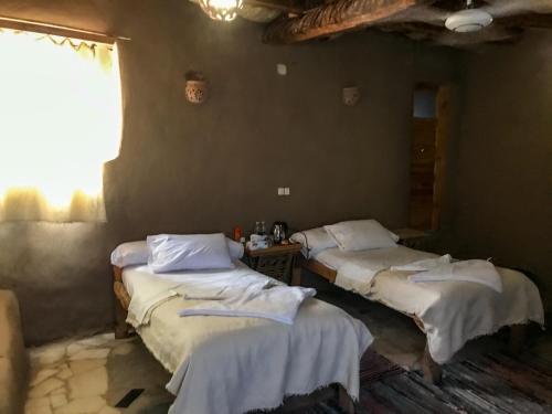 a room with two beds and a window at Eco Nubia in Aswan