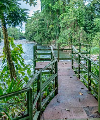 a wooden walkway next to a river with a fence at Hotel Los Rios in Guácimo
