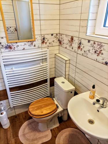 a bathroom with a toilet and a sink at Chalupa U Mohelky in Bílá