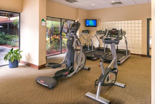 Pusat kecergasan dan/atau kemudahan kecergasan di Holiday Inn & Suites Orlando SW - Celebration Area by IHG