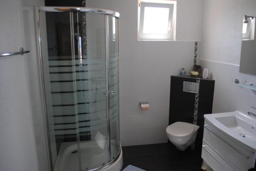 a bathroom with a shower and a toilet and a sink at Apartments Vidolma in Povljana