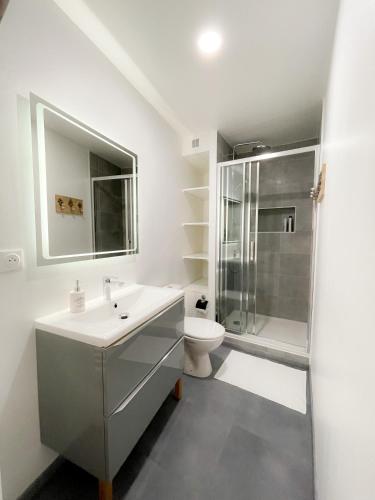 une salle de bain avec un lavabo, des toilettes et une douche dans l'établissement Le petit Léon, à Châlons-en-Champagne