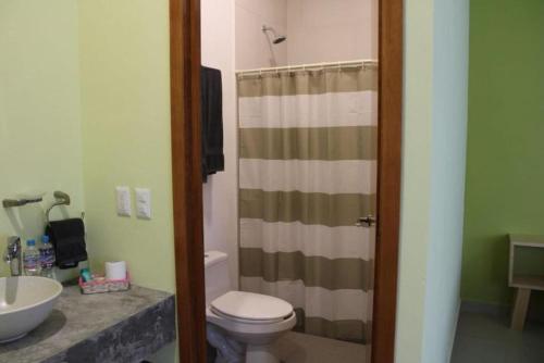 a bathroom with a shower and a toilet and a sink at Artesanos 11 in Tepoztlán