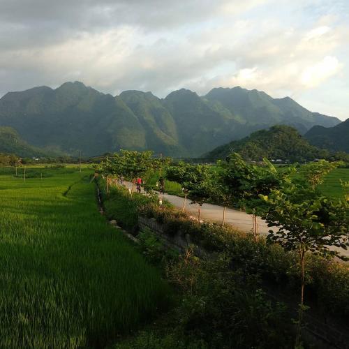 Landskap semula jadi dekat dengan homestay