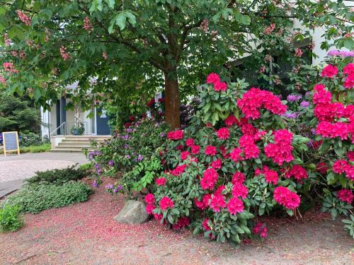 a garden filled with lots of shrubs and flowers at Hotel Luther Birke Wittenberg in Lutherstadt Wittenberg