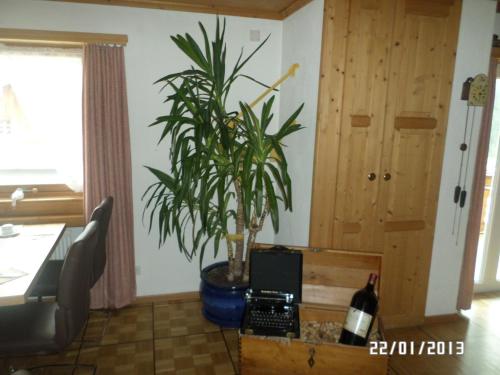 a potted plant in a room with a bottle of wine at Hotel Mira in Sedrun
