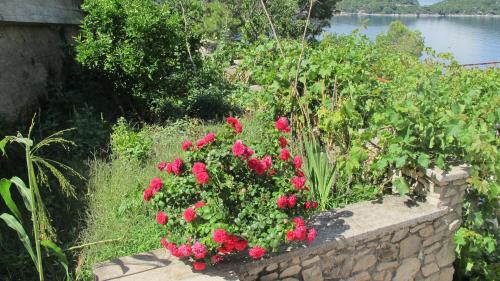 a garden with red flowers in a stone wall at Guest House Ruža in Sobra