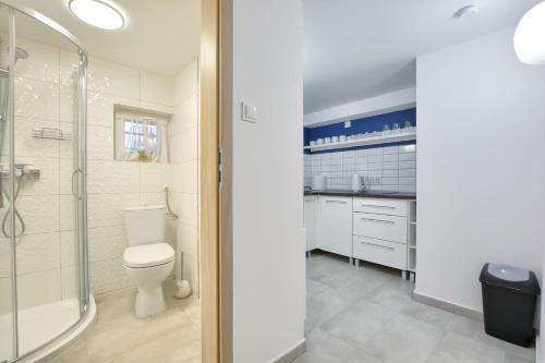 La salle de bains est pourvue de toilettes, d'une douche et d'un lavabo. dans l'établissement Apartament Niebieski, à Oleśnica