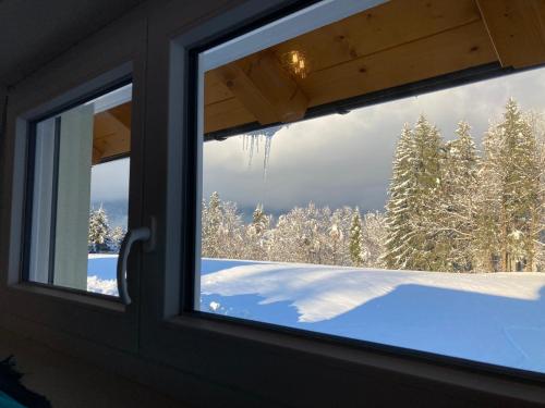 a window with a view of a snow covered forest at Oachkatzlschwoaf in Arnoldstein